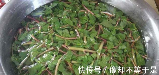 食物|有孕期，这4种食物孕妇别吃，不然对孩子发育不利，对自己也无益！