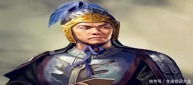 武将|他是最像赵云的蜀汉名将 一条建言本可保蜀汉不亡 可惜刘禅没听！