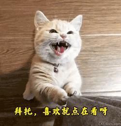 卫生间|还在墙上打柜子？丑死了！打100个柜子，都比不上1个洞实用