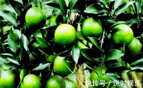 美容|人到中年,不妨多吃3种食物,排毒养颜、美容养颜、滋补身体