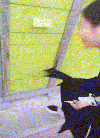 |搞笑GIF:一转身美美哒