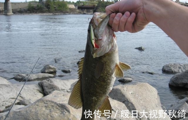 大窝|哎!很多钓友都是这样打窝,难怪鱼获越来越少