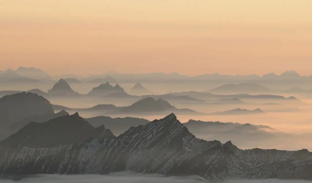 梦一场$元稹千古名句的背后,藏着他最爱的人和最真的情