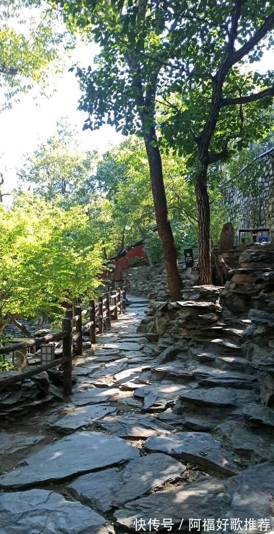 大觉寺|莱芜人在北京：游西山大觉寺