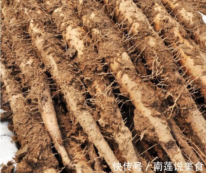 秋来临，“少吃二瓜，多吃六白，牢记四件事”，顺利过秋夏交替