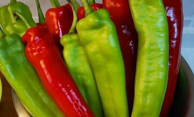 秘诀|腌辣椒还是这方法好，40几年的老配方秘诀，既简单零失败又入味