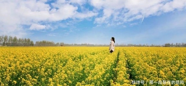 属于河南邓州的油菜花风景