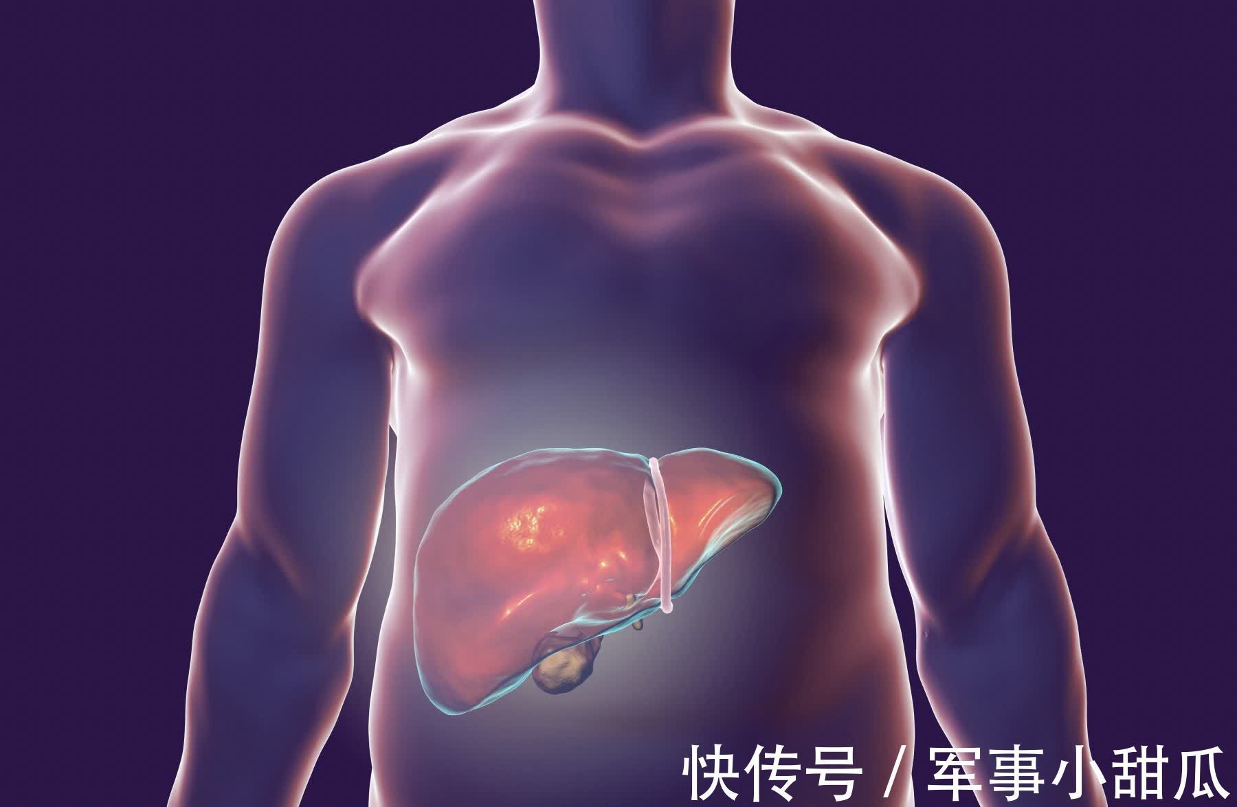 谨记|有肝病的人，谨记少吃2红，多吃3绿，肝会一天比一天轻松