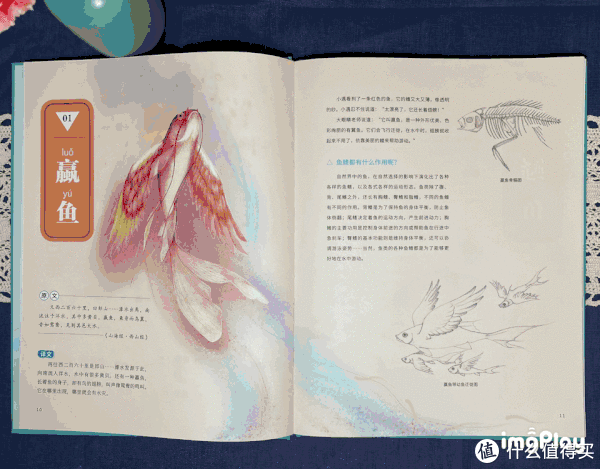 王羲之$成长的书柜 篇三十二:【双11童书值得买】精选10本/套小学生课外书单(拒绝云评)