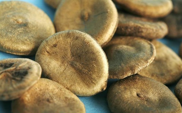 药材|是药三分毒，泡酒须谨慎，4类药材严禁泡酒，泡错了很难受