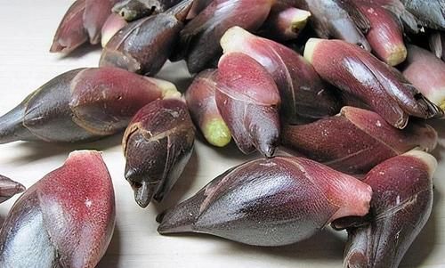 春季養生，適合常吃3種食物，補充營養，延緩衰老，增強免疫力