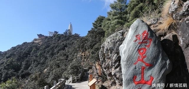 特别|在云南大理,有一种水果经历了春夏秋冬,现在吃正当时,脆甜多汁