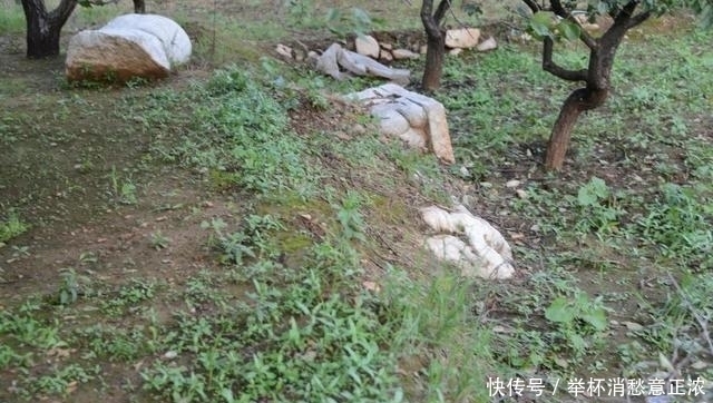 书魂·张柔:轻财重书,《金史》得用(上)韦力撰