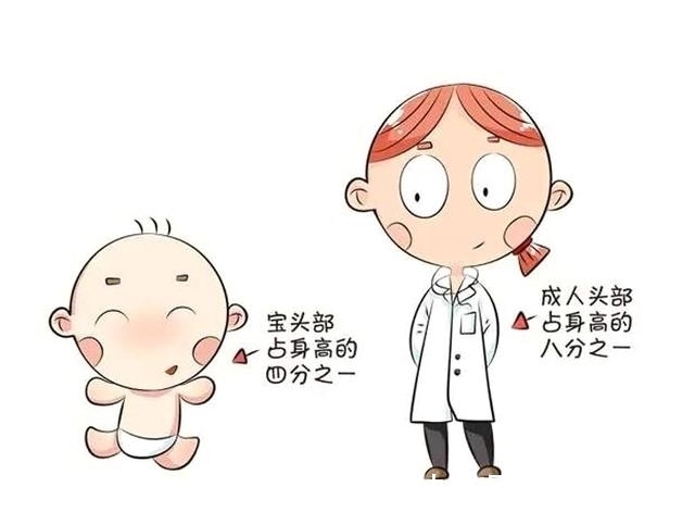 身高|都说养儿日日新,新在哪呢?长个子呗