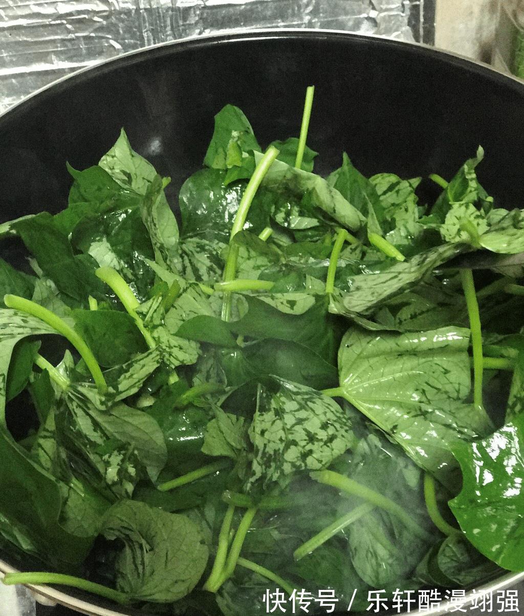 刮油菜|真正的“刮油菜”发现了，隔三差五吃，刮油减脂，好吃不怕胖