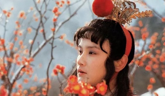 《红楼梦》倘若林如海在世,林妹妹最终会不会嫁给贾宝玉