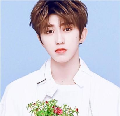 95后男明星热度排行:三甲有蔡徐坤、王俊凯,陈宥维第六,朱正廷第十