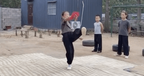 刘龙|这一家子，飒！