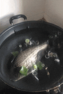 |搞笑GIF:下雨天没有雨衣,怎么办?自己制作的这个雨衣还挺合身