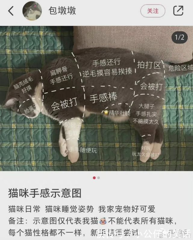 云龙兄|“千万别乱尝试新的装修风格!”哈哈哈哈哈哈网友亲身经历笑疯我!