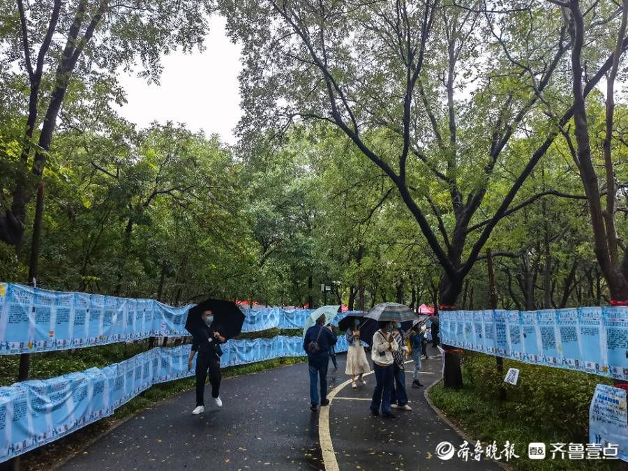 相亲大会|雨中情！千佛山相亲大会开幕第二天，现场浓情满满