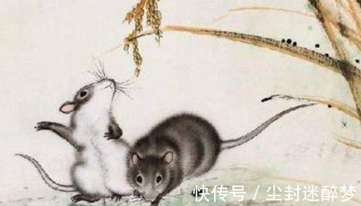 2025权威合法彩票平台_赛车_时时彩_体彩【官方推荐】事情闹大了？彩票大奖公信力不在！彩民中千万巨奖却引来一片骂声
