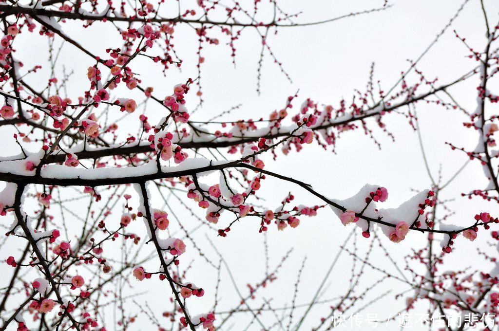 “小寒”这天全国各地都有哪些习俗