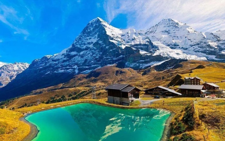 沃尔玛|刘强东只要7500万,为何接受了3亿?张磊:不接受我就投竞争对手