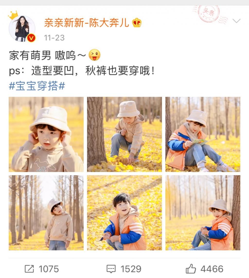 朋友圈|拼单名媛和凡尔赛文学都输了！朋友圈自由的人都晒什么？