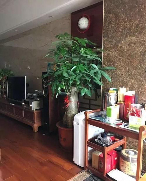 新房|婆婆硬要把新房装成中式风，完工后不说话了，给大家晒晒