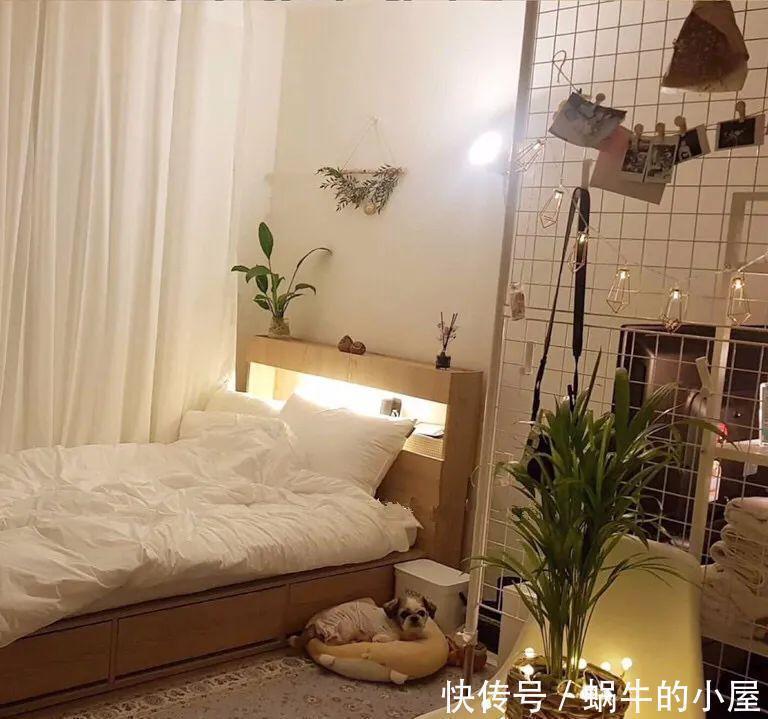 卧室|卧室养花有“三不养”,又有“三必养”,你养对了吗