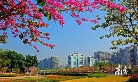 户籍|广州市住建局：广州公租房可迁入户籍