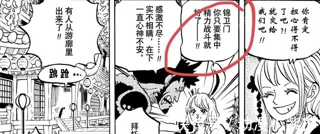 乔巴|海贼王981话:尾田公然开车,连兔子都不放过,娜美罕见正经一回