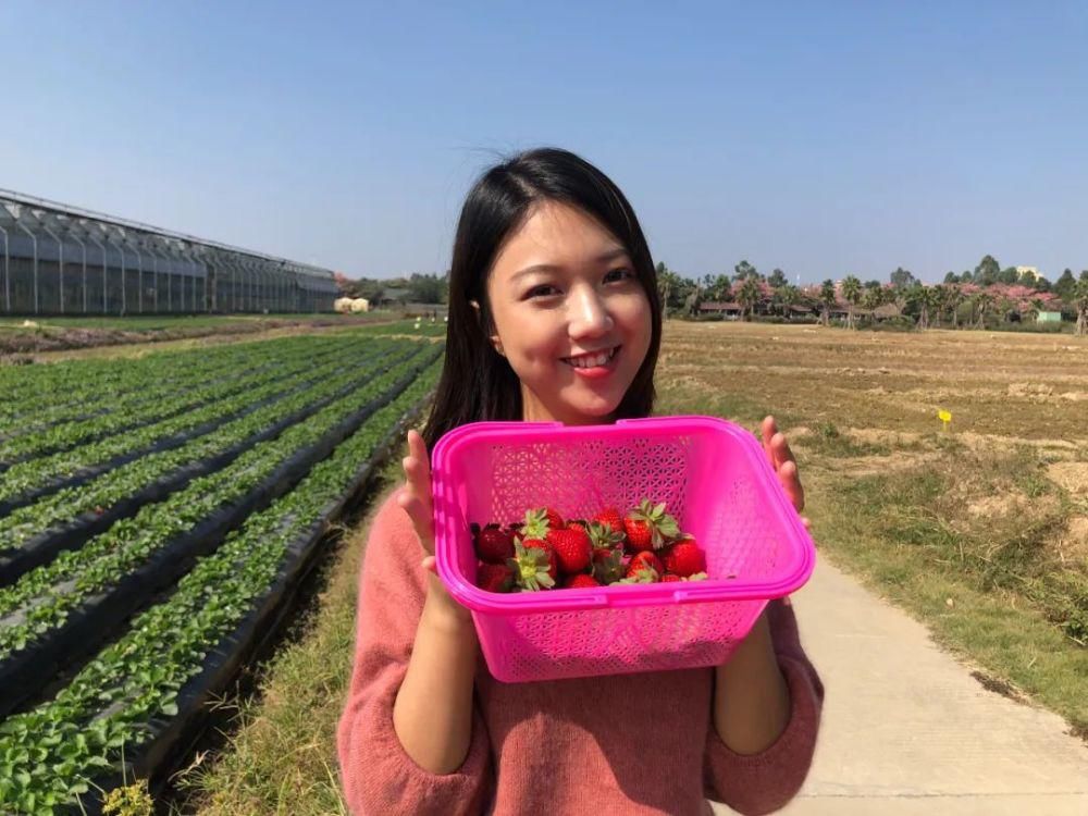 藏不住了！数十亩油菜花开得正好！100%出片攻略