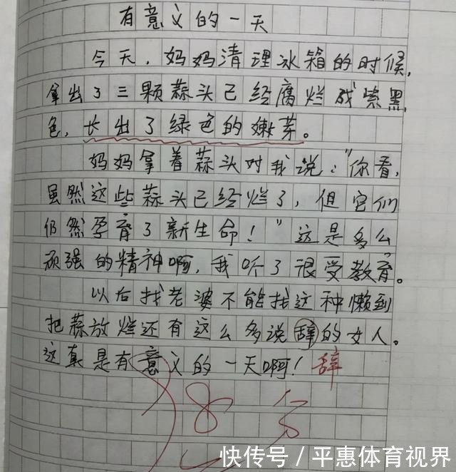 鼻子|小学生作文“小姨的假鼻子”火了，网友：不会是你气歪的吧？赔钱