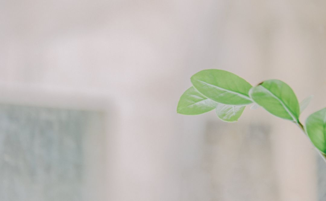 生命|真正有智慧的人，一直在给生命做减法