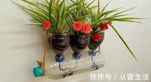 别再看不上塑料瓶，学会这些妙招，它堪当“养花神器”