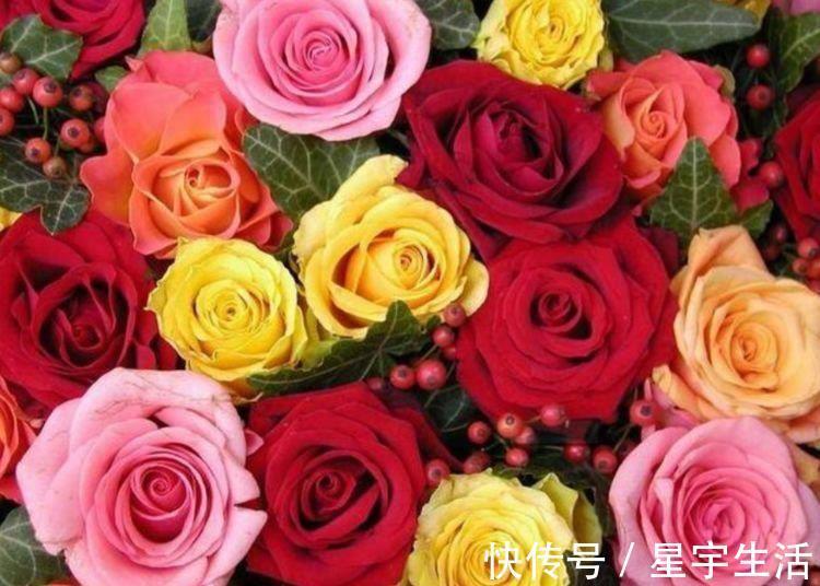 新手|适合阳台养护的几种花卉，新手也能养爆盆，阳台开成小花园