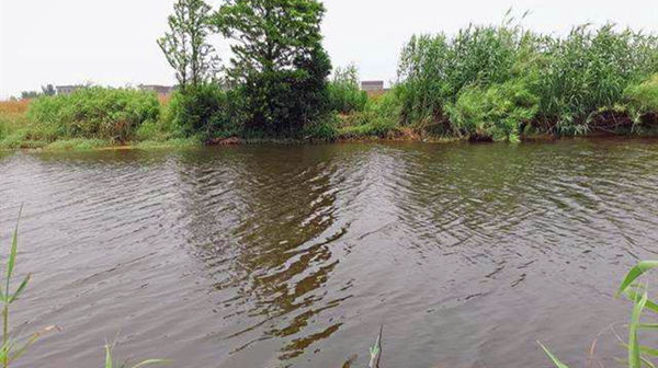 要领|详解跑铅钓和双铅钓要领,夏季野钓风浪天,最实用的两种钓法