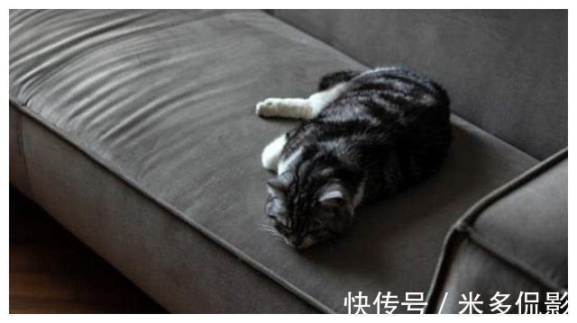 大理石材|53㎡精致小蜗居:一人一屋三餐四季,极致有温度的家