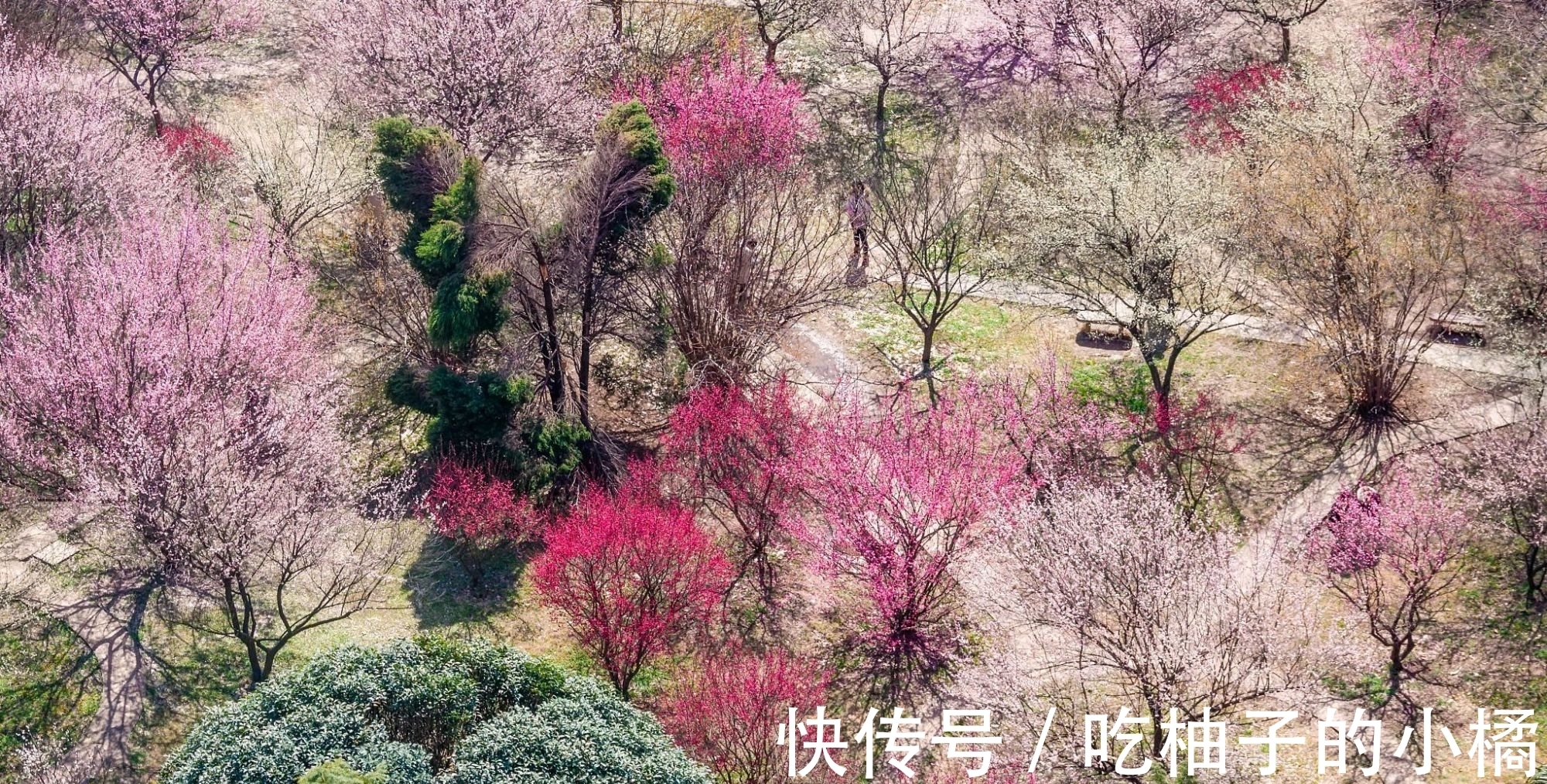 黄州&苏轼岐亭访友,忆昔抚今,感慨万千,写下了一首著名的七律