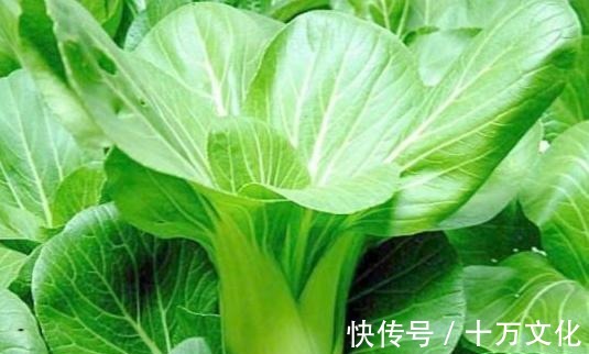 吸收率|吃虾皮可以补钙医生真正补钙的是这4种食物,很多人却不爱吃