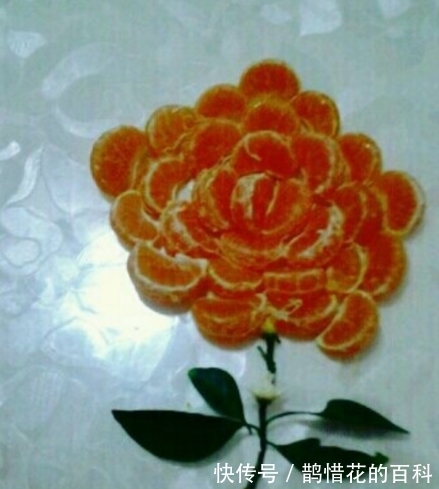 三文鱼|太喜欢老婆给我做的饭菜了。最后一图都把孩子做出来了