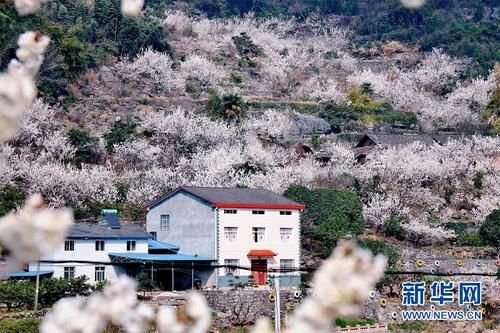 春暖峡江 山花烂漫