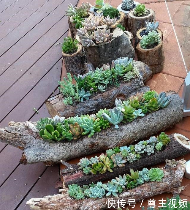 可别小看了被你扔掉的破铜烂铁!二次利用起来,在花园咋种都好看!