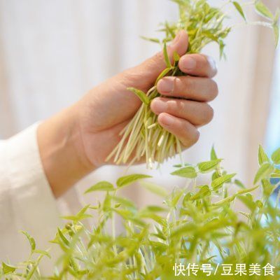 节气食养｜惊蛰 春鲜福袋