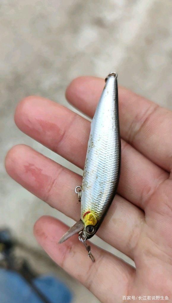 小知识|珠江水浅，有人钓起一大堆“假鱼”，价值千元