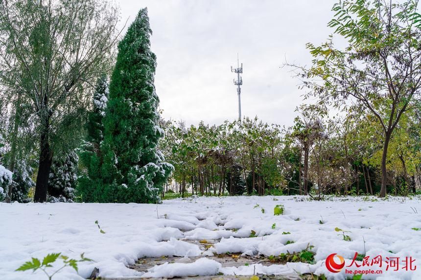 初雪|白雪皑皑银装素裹 河北各地迎来今冬“初雪”