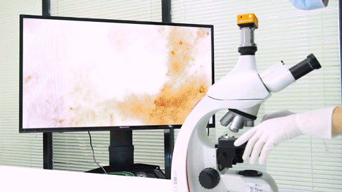 紫外线|根元Footies智能鞋柜体验:紫外线+臭氧,除味、杀菌养护新鞋