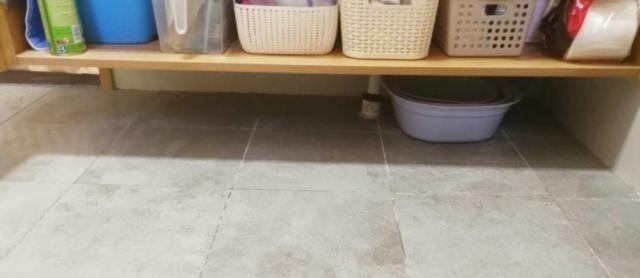 三分离|家中只有一个厕所,她坚持做“三分离”!完工后太实用了,晒晒!